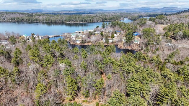LOT1 Stone Ln, Norway, ME 04268 - photo 10