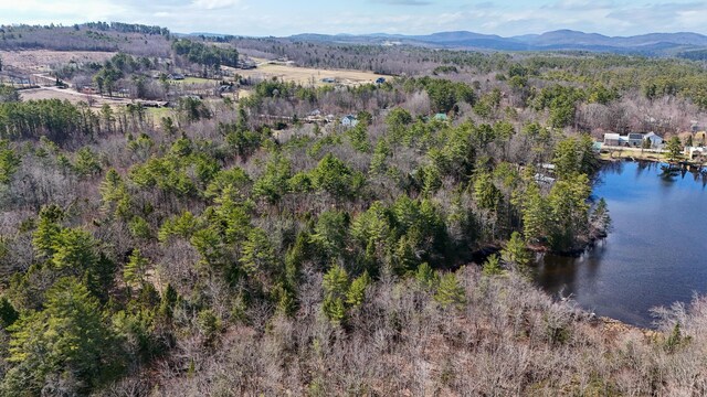 LOT1 Stone Ln, Norway, ME 04268 - photo 11