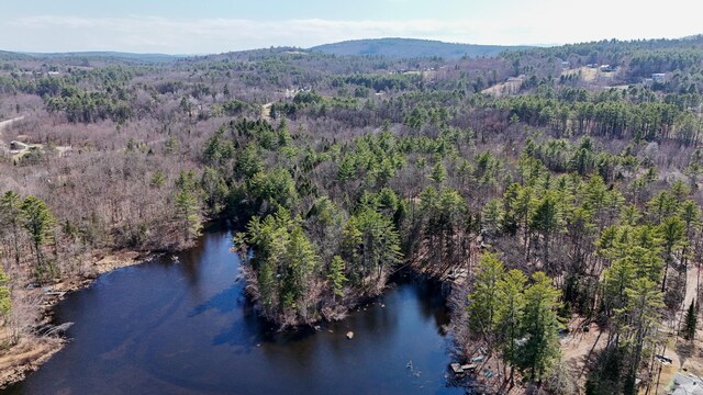 LOT1 Stone Ln, Norway, ME 04268 - photo 3