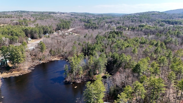 LOT1 Stone Ln, Norway, ME 04268 - photo 8