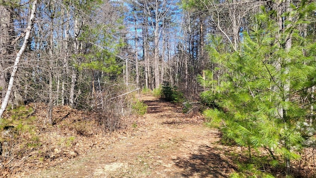 LOT1 Stone Ln, Norway, ME 04268 - photo 4