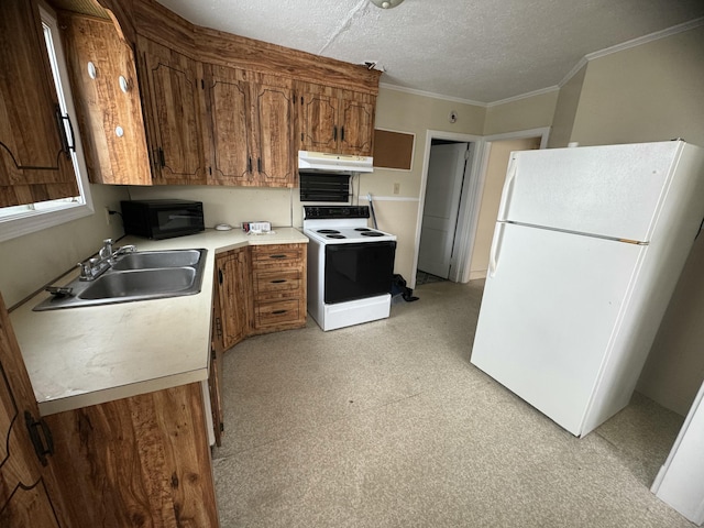 334 Main St, Madawaska, ME 04756 - kitchen with freestanding refrigerator, electric range oven, under cabinet range hood, a sink, and black microwave