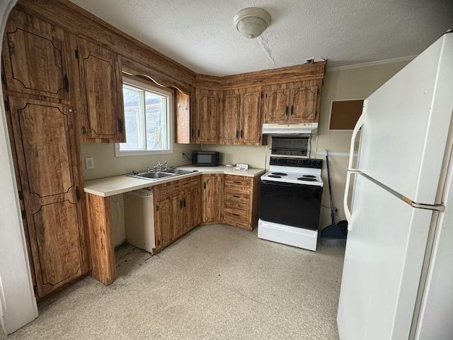 334 Main St, Madawaska, ME 04756 - kitchen featuring freestanding refrigerator, range with electric stovetop, under cabinet range hood, black microwave, and a sink