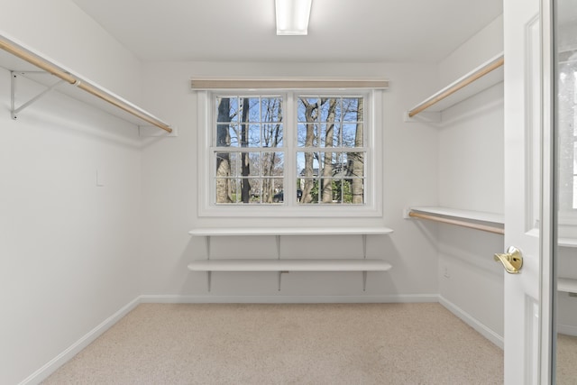 walk in closet with carpet floors