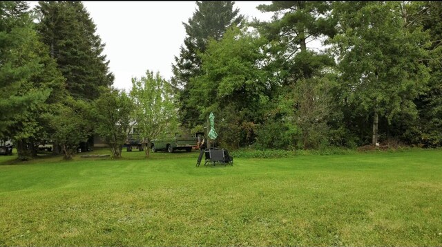 101 Mechanic St, Presque Isle, ME 04769 - view of yard