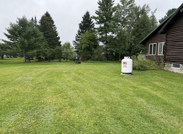101 Mechanic St, Presque Isle, ME 04769 - view of yard