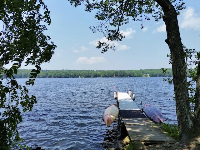 54 Birch Dr, Poland, ME 04274 - photo 34