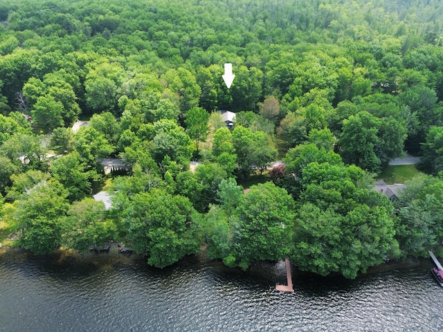 54 Birch Dr, Poland, ME 04274 - photo 40