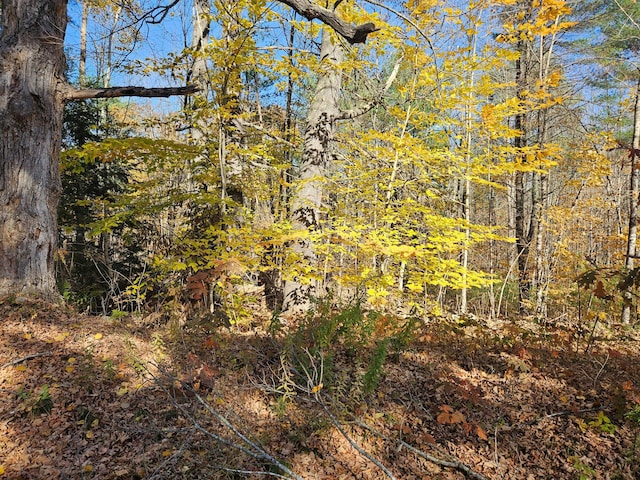 LOT013 Staples Rd, Newfield, ME 04095