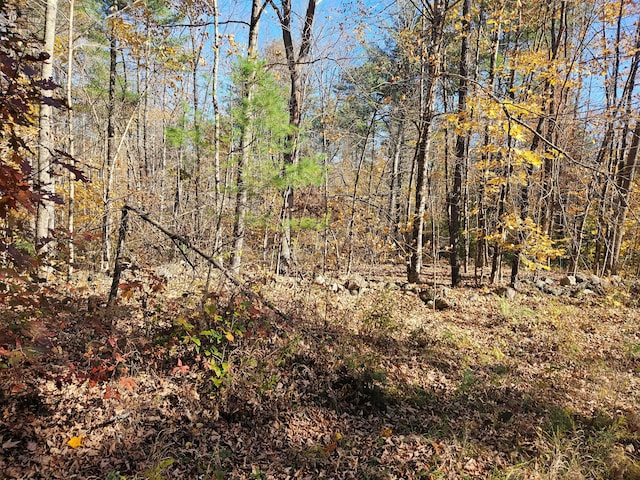 LOT013 Staples Rd, Newfield, ME 04095