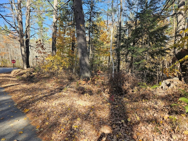 LOT013 Staples Rd, Newfield, ME 04095