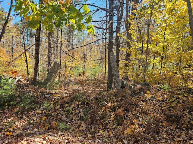 LOT013 Staples Rd, Newfield, ME 04095