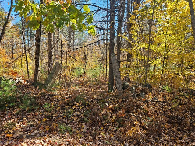 LOT013 Staples Rd, Newfield, ME 04095