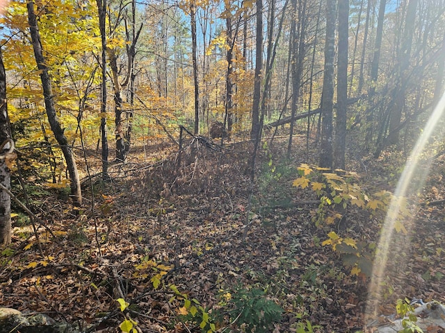 LOT013 Staples Rd, Newfield, ME 04095