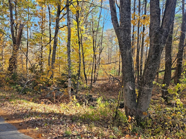 LOT013 Staples Rd, Newfield, ME 04095