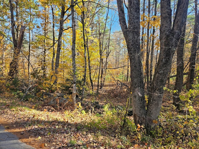 LOT013 Staples Rd, Newfield, ME 04095