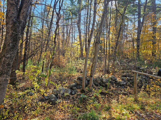LOT013 Staples Rd, Newfield, ME 04095
