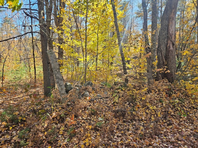 LOT013 Staples Rd, Newfield, ME 04095