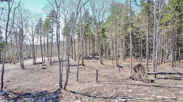 00 Switzer Spring Rd, Prospect, ME 04981 - photo 7