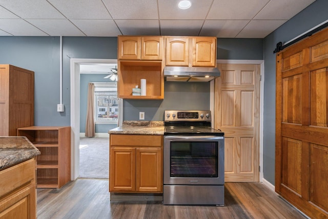 kitchen featuring electric range, a barn door, under cabinet range hood, and dark wood-style floors