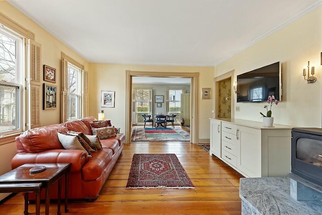 living area featuring a wood stove and light wood-type flooring