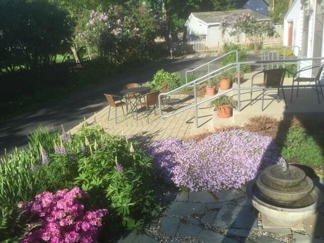 view of yard featuring a patio area