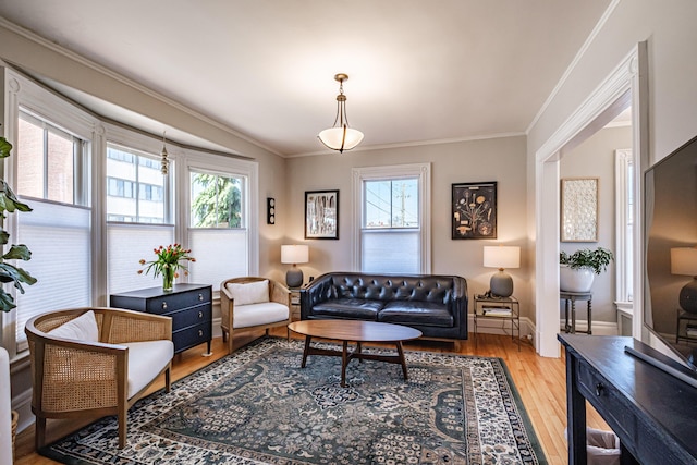 living area with crown molding, baseboards, wood finished floors, and a wealth of natural light