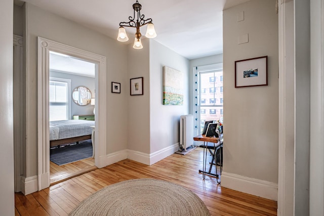 corridor with a wealth of natural light, light wood finished floors, and radiator