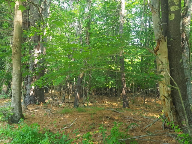 594 River Rd, Windham, ME 04062 - photo 30