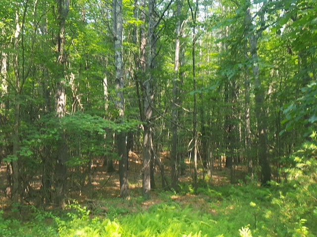 594 River Rd, Windham, ME 04062 - photo 31