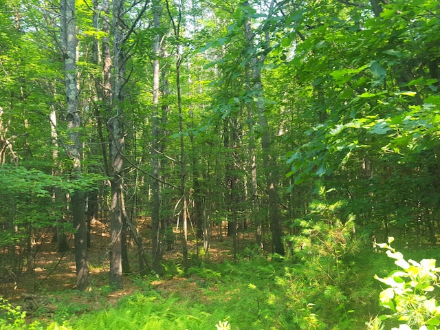 594 River Rd, Windham, ME 04062 - photo 32