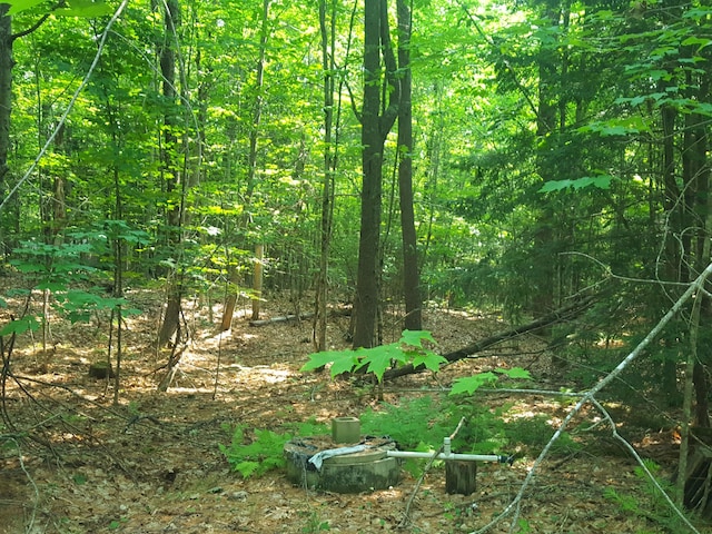 594 River Rd, Windham, ME 04062 - photo 34