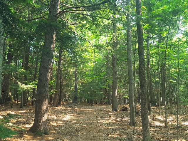 594 River Rd, Windham, ME 04062 - photo 35