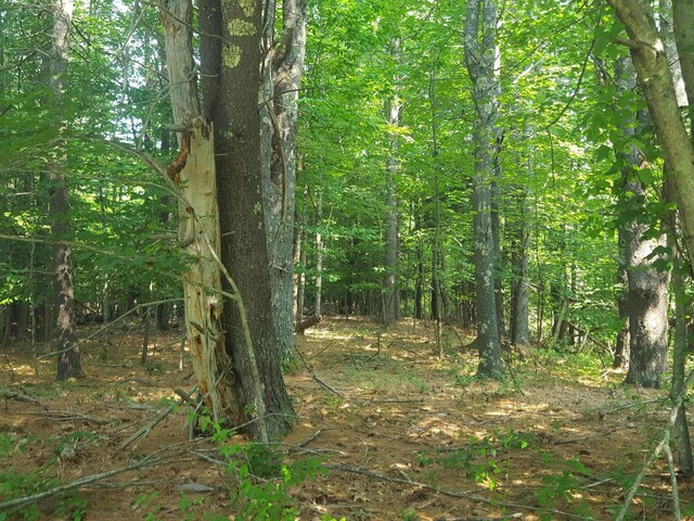594 River Rd, Windham, ME 04062 - photo 29