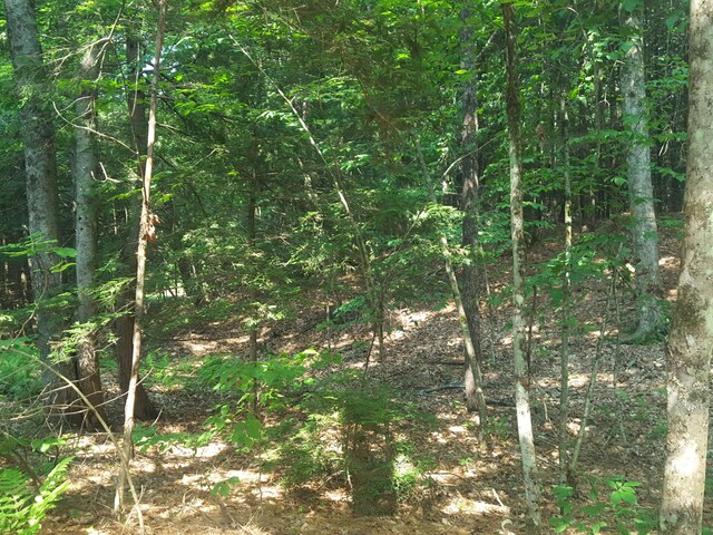 594 River Rd, Windham, ME 04062 - photo 36
