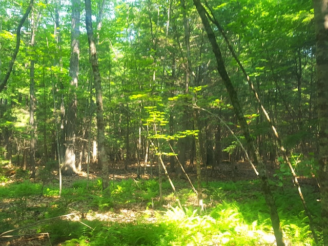 594 River Rd, Windham, ME 04062 - photo 37