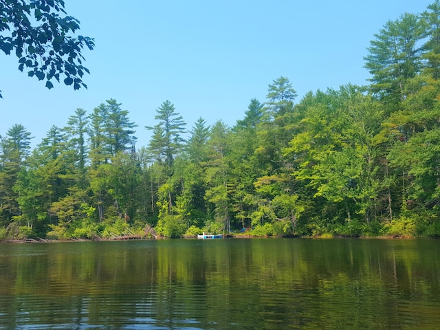 594 River Rd, Windham, ME 04062 - photo 5