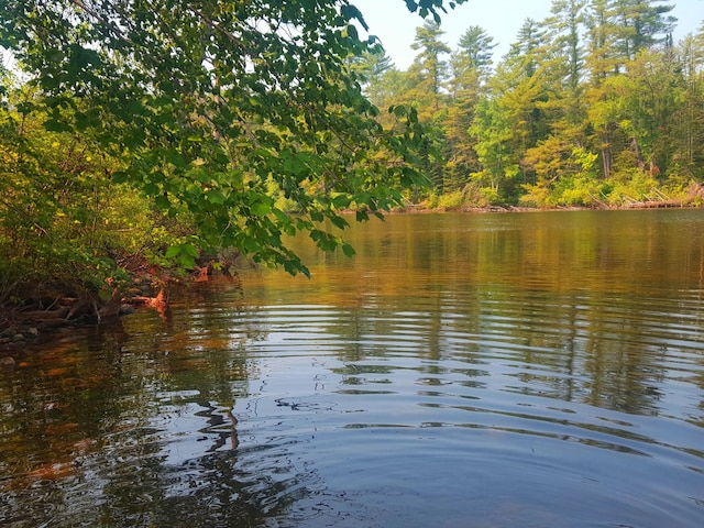 594 River Rd, Windham, ME 04062 - photo 40