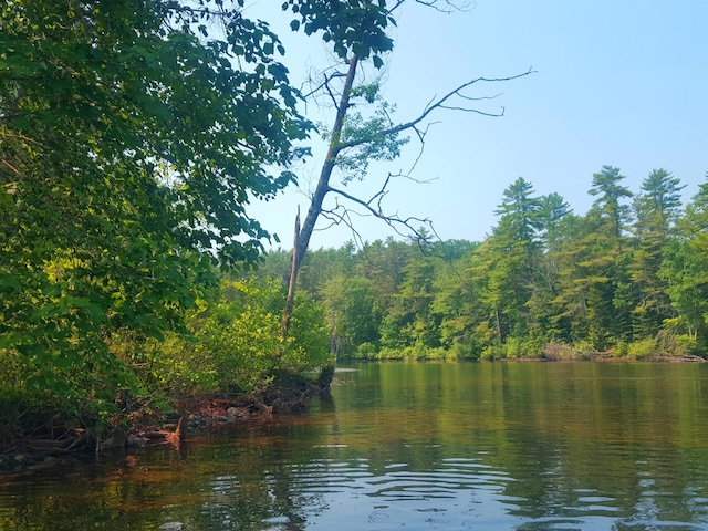 594 River Rd, Windham, ME 04062 - photo 6