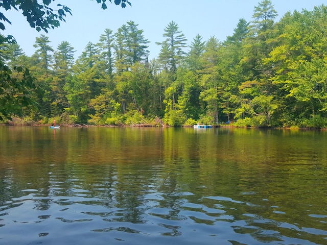 594 River Rd, Windham, ME 04062 - photo 46