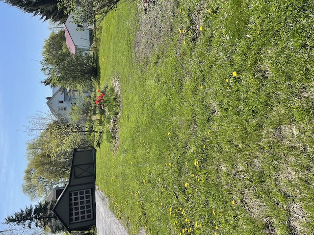30 Munroe St, Bangor, ME 04401 - view of yard