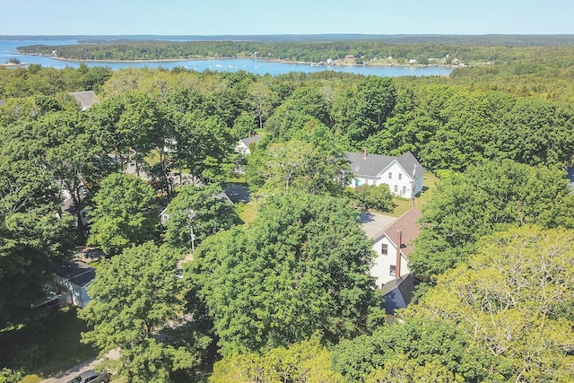 drone / aerial view with a view of trees and a water view