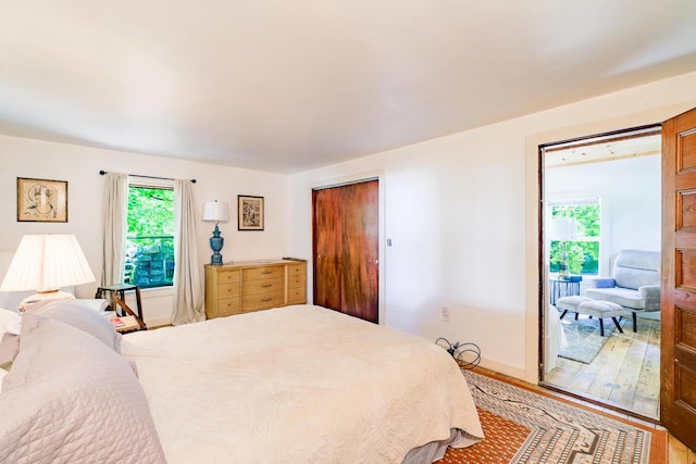 bedroom with wood finished floors and a closet