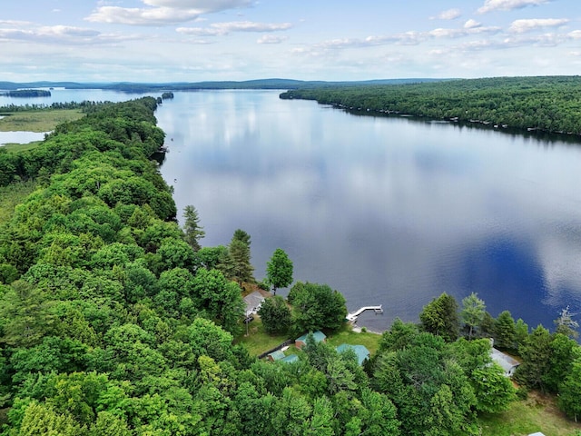 aerial view with a water view and a wooded view