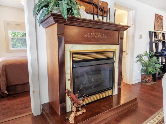 details featuring wood finished floors, a premium fireplace, and ornamental molding