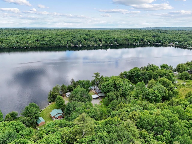 drone / aerial view featuring a water view and a view of trees
