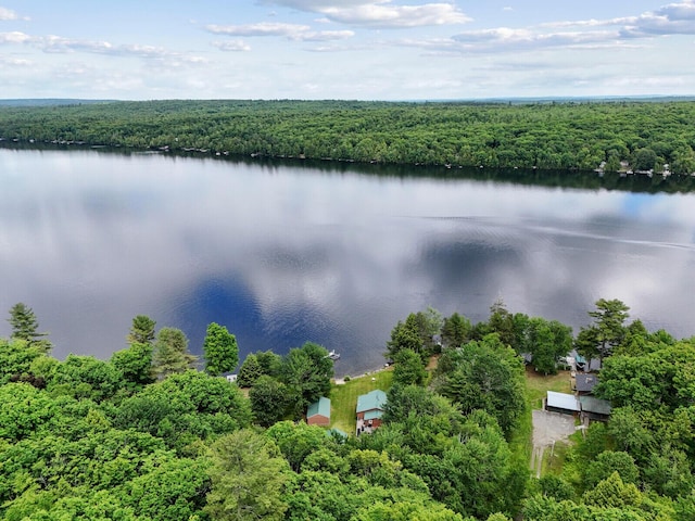 aerial view featuring a water view and a forest view