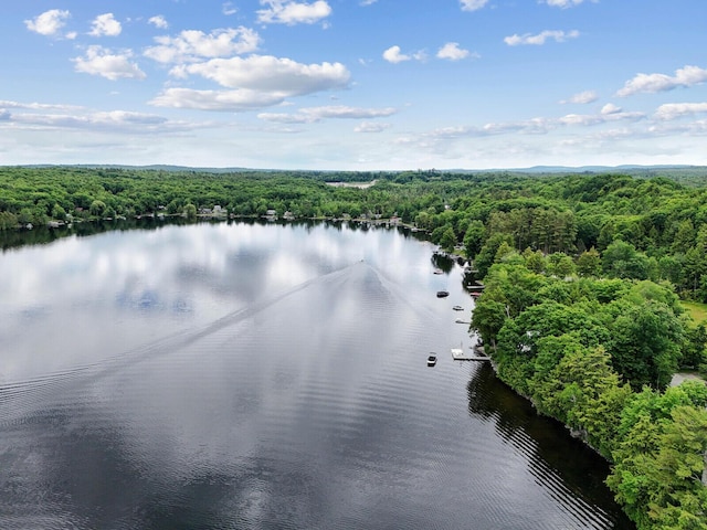 drone / aerial view with a water view and a view of trees