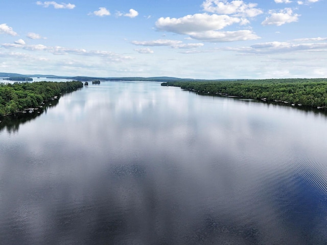 water view with a forest view