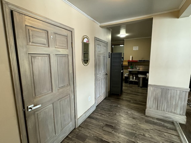 hallway featuring dark wood-style floors and ornamental molding